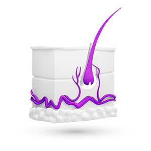 Dermatoloogia