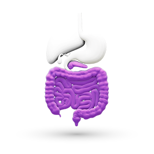 Gastroenteroloogia